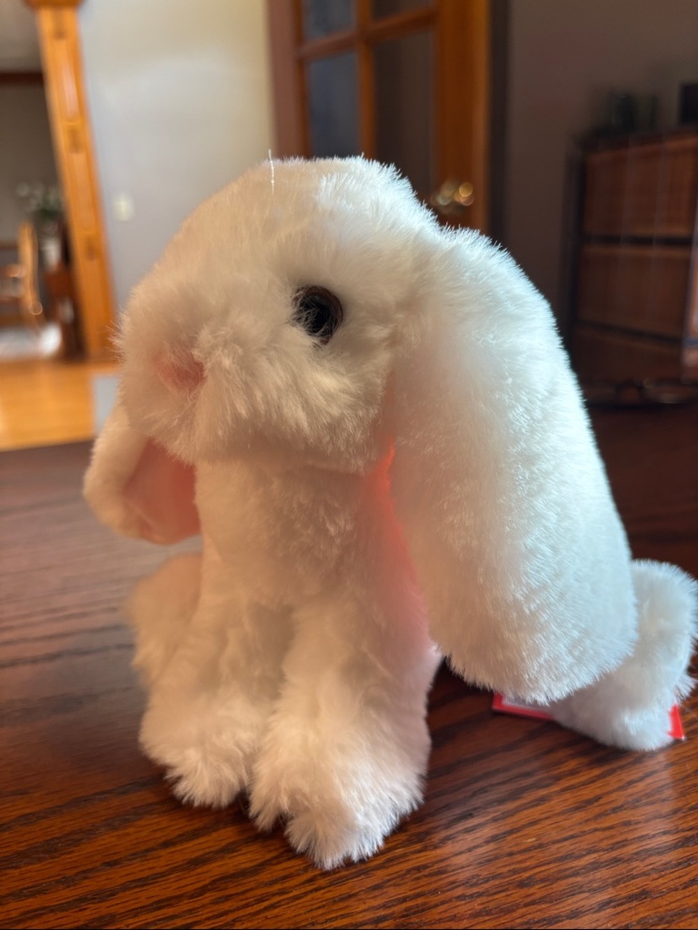 Plush White Bunny Floppy Ears Douglas Brand 8”
